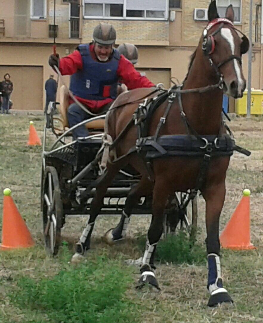 2ª Fase Campeonato Navarra de Enganches